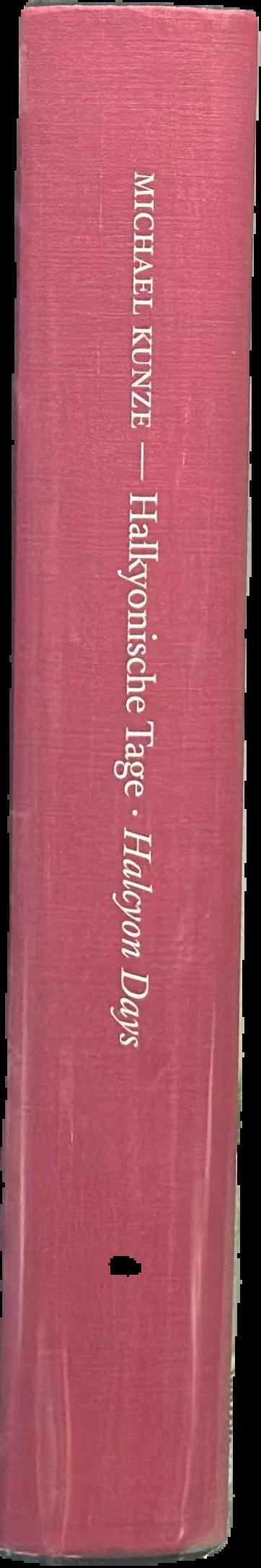 Michael Kunze : Halkyonische Tage = halcyon days / with texts by Gregor Jansen and Udo Kittelmann ; John C. Welchman ; Zdenek Felix spine