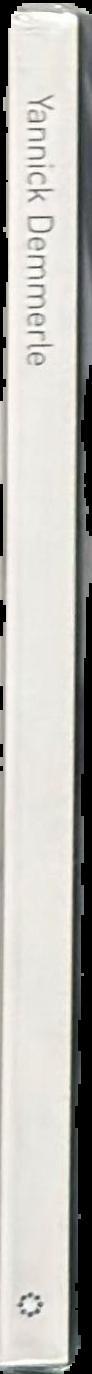 Yannick Demmerle spine