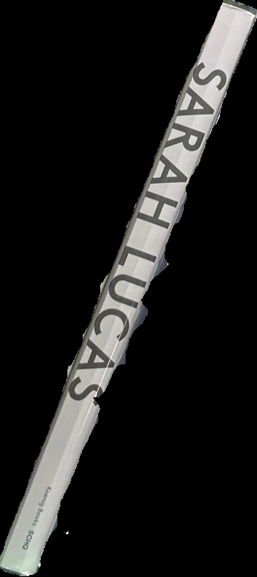 Sarah Lucas : after 2005, before 2012 spine