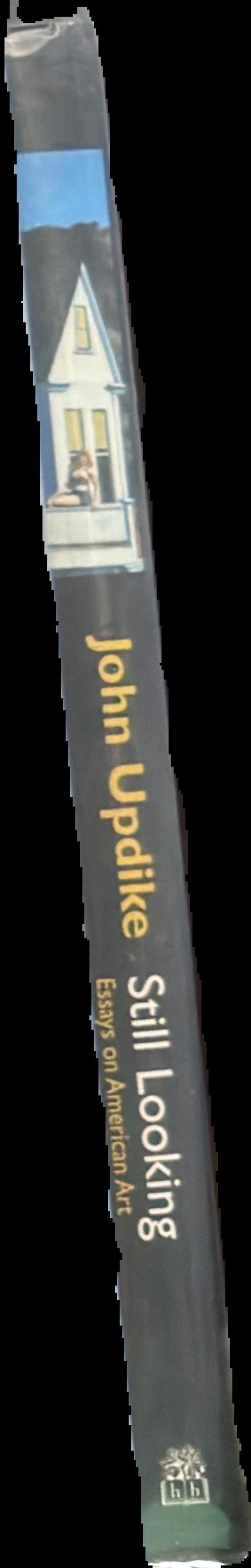 Still looking : essays on American art spine