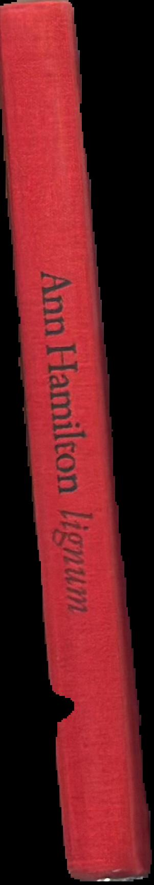Ann Hamilton : lignum spine