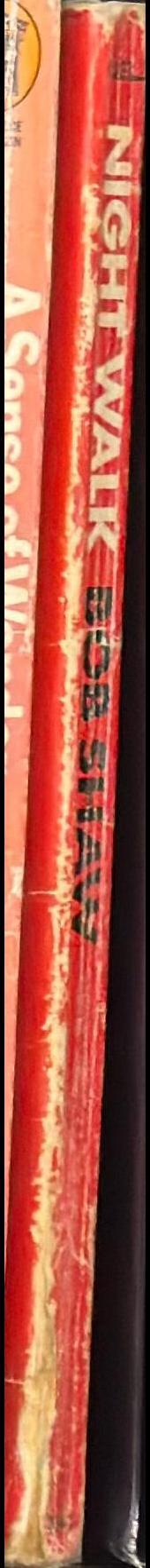 Night walk spine