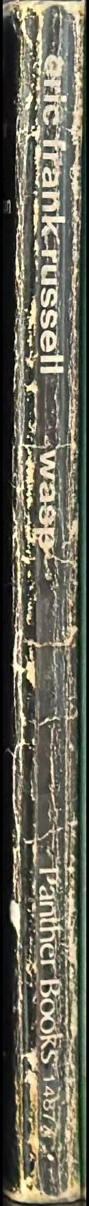 Wasp spine