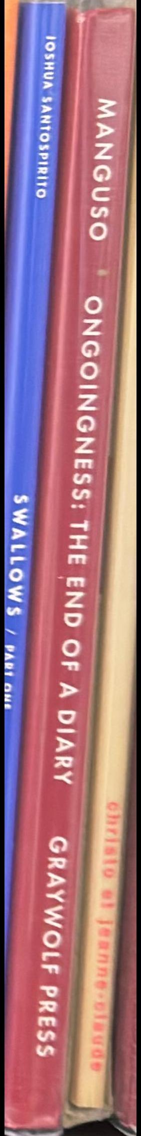 Ongoingness : the end of a diary spine