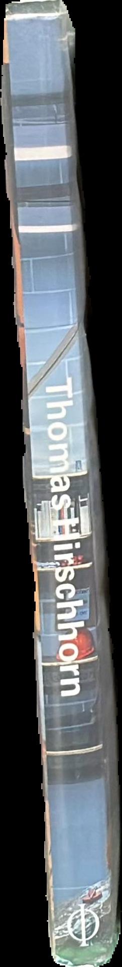Thomas Hirschhorn spine