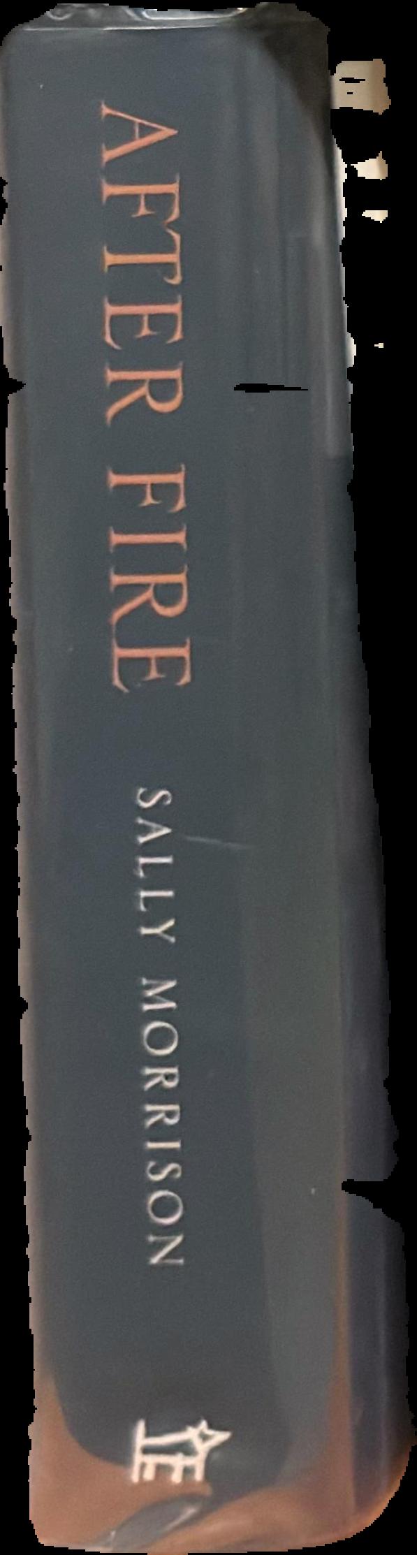 After fire : a biography of Clifton Pugh spine