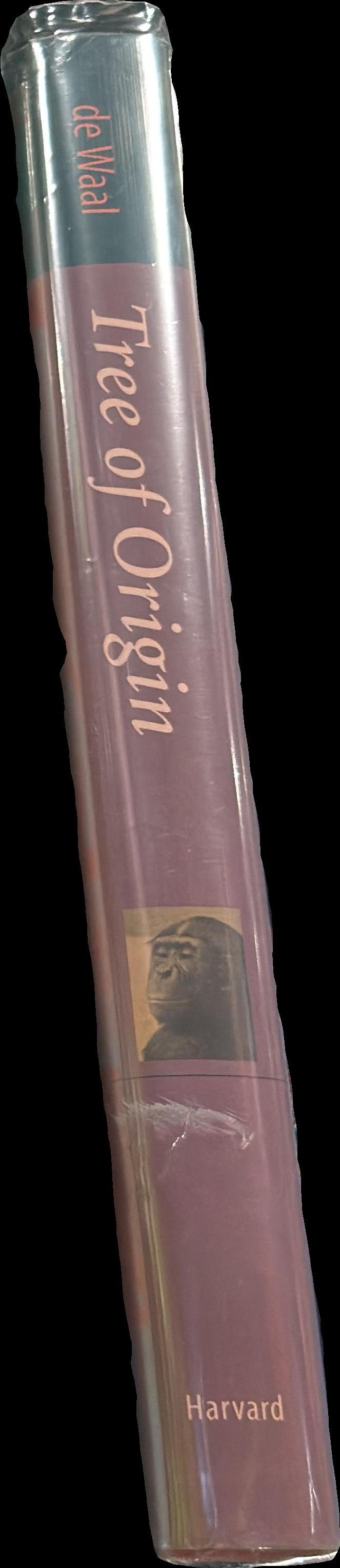  spine