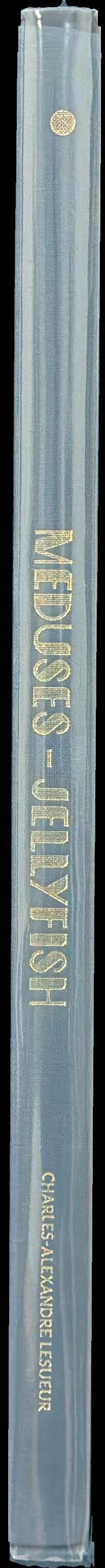 Charles-Alexandre Lesueur : meduses - jellyfish spine