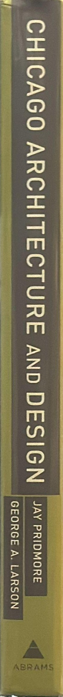 Chicago architecture and design spine