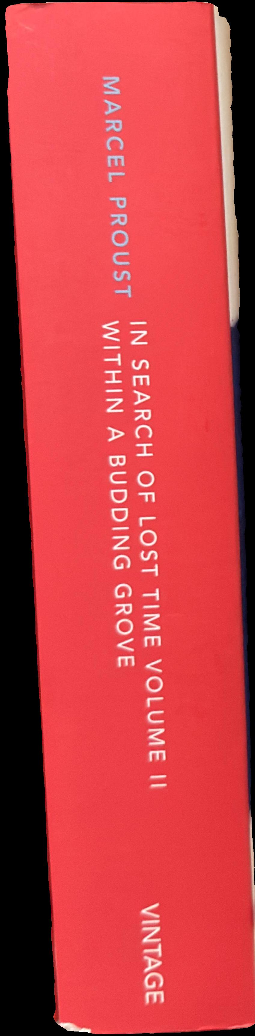 In search of lost time : volume II : within a budding grove spine