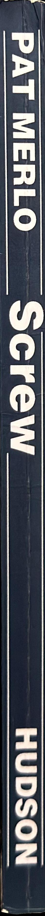 Screw : observations and revelations of a prison officer spine