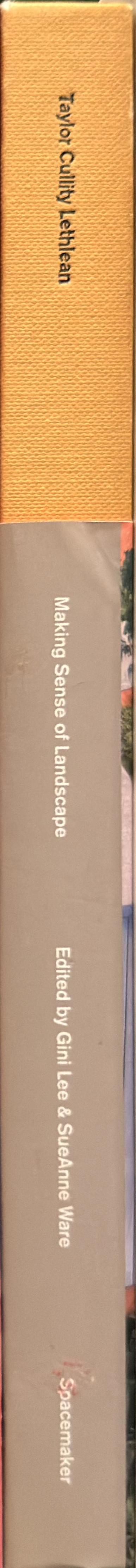 Making sense of landscape spine