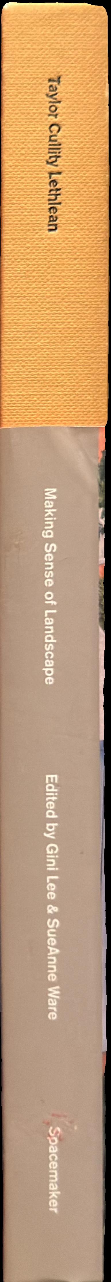 Making sense of landscape spine