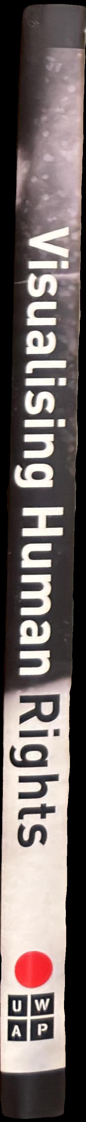 Visualising human rights spine