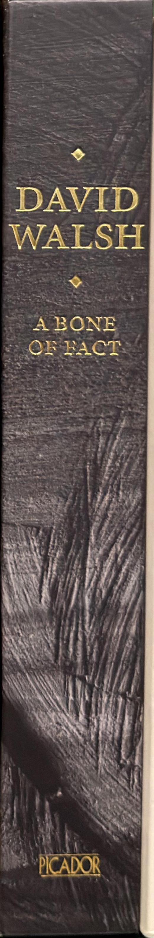 A bone of fact spine