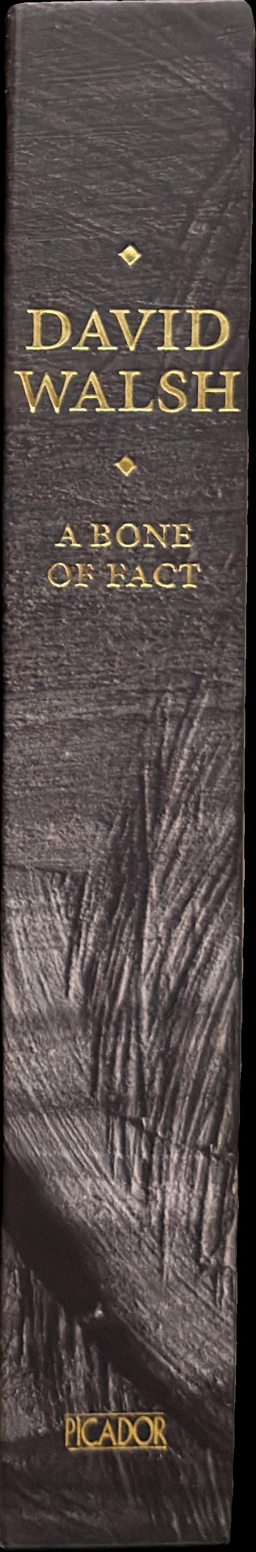 A bone of fact spine