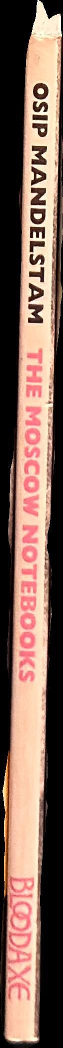 The Moscow notebooks spine