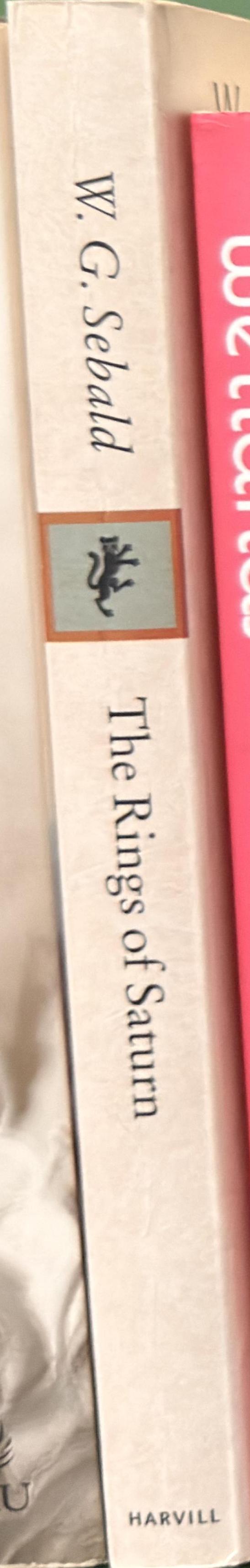 The rings of Saturn spine