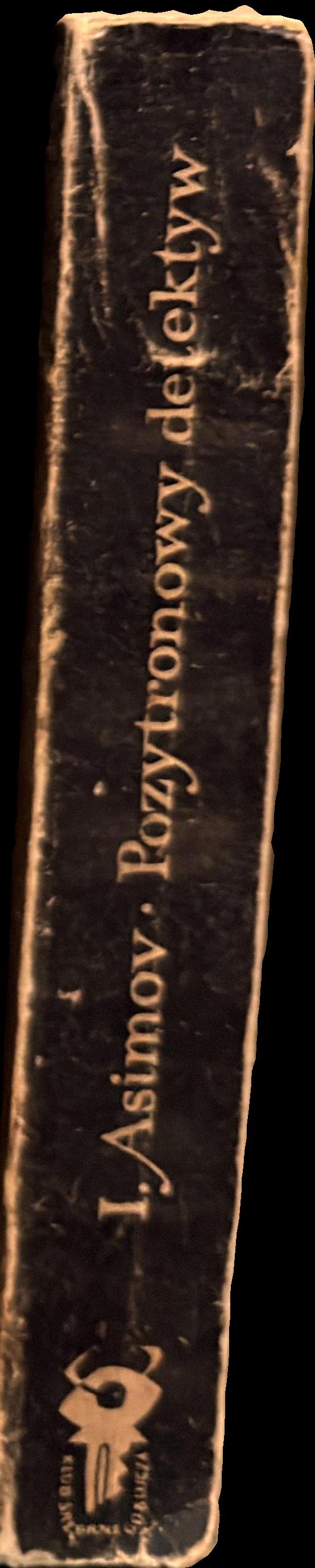 Pozytonowy detektyw spine