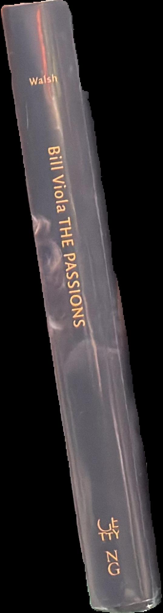 Bill Viola : the passions spine