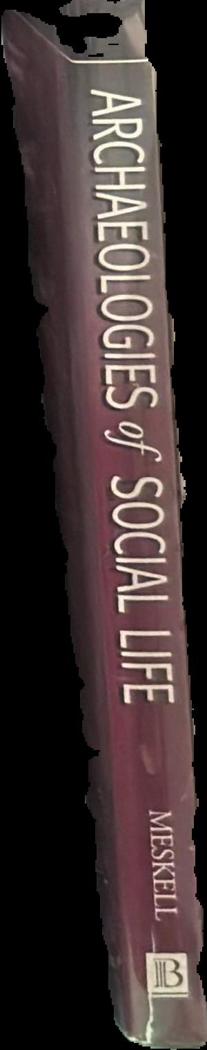 Archaeologies of social life : age, sex, class et cetera in ancient Egypt spine
