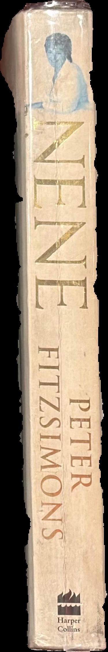 Nene spine