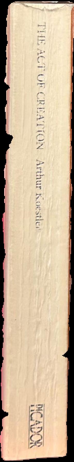 The act of creation spine