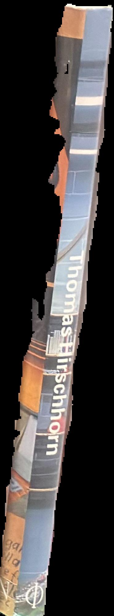 Thomas Hirschhorn spine