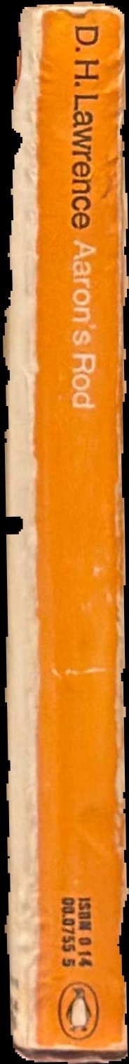 Aaron's rod spine