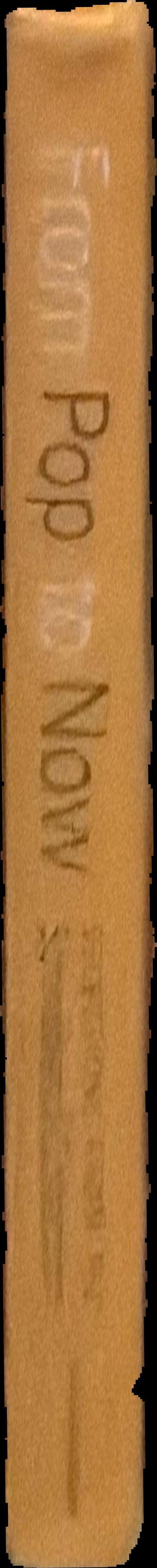 From Pop to now : selections from the Sonnabend Collection spine
