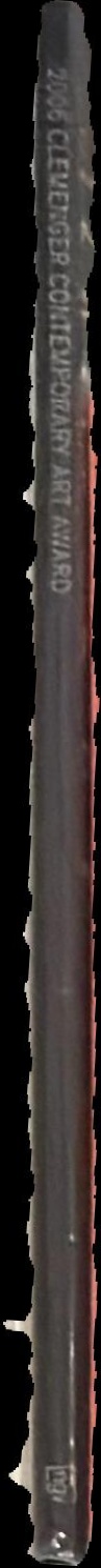 2006 Clemenger contemporary art award spine