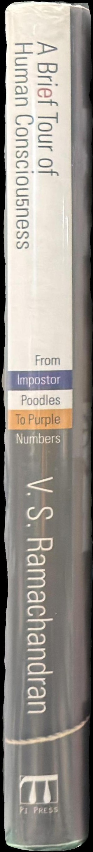 Brief tour of human consciousness : from imposter poodles to purple numbers spine