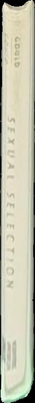 Sexual selection spine