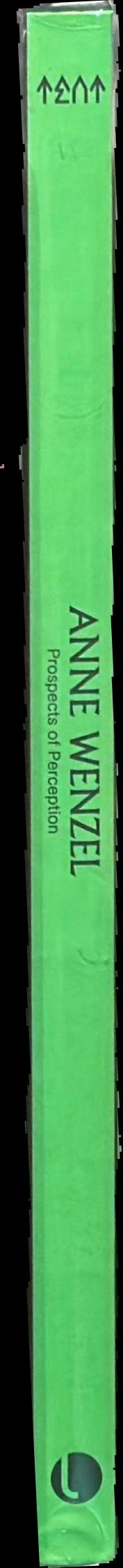 Anne Wenzel : prospects of perception spine