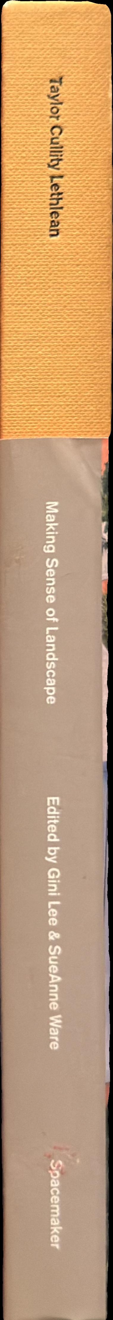 Making sense of landscape spine