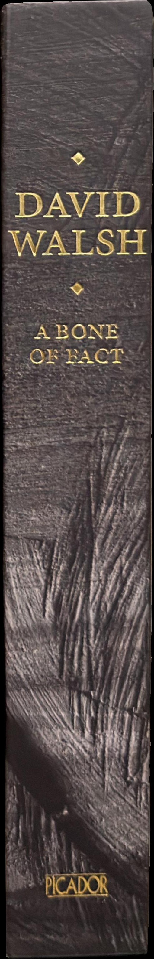 A bone of fact spine