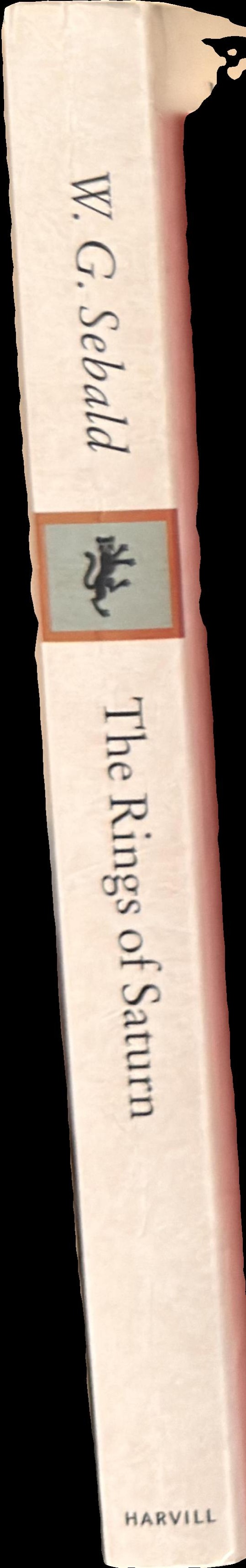The rings of Saturn spine