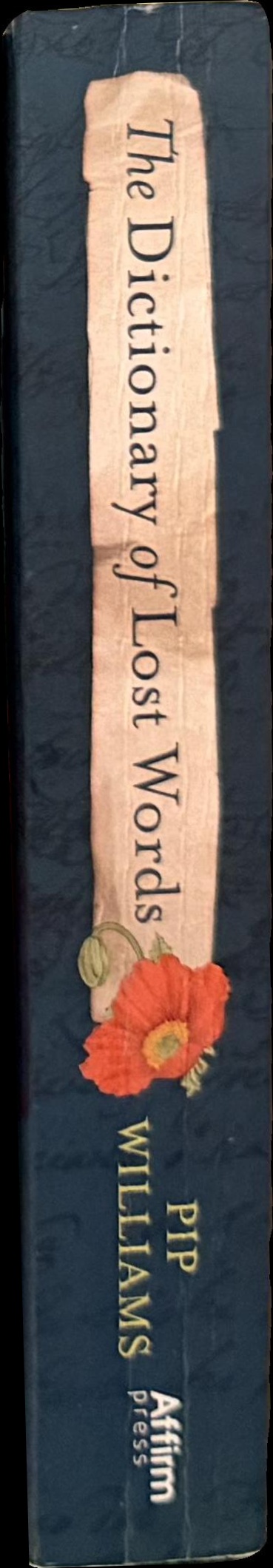 The dictionary of lost words spine