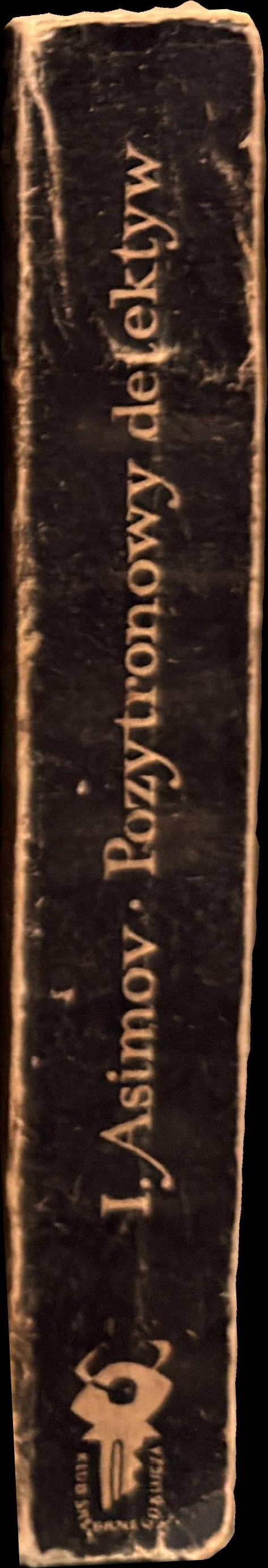 Pozytonowy detektyw spine
