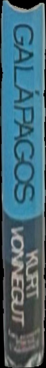 Galapagos spine