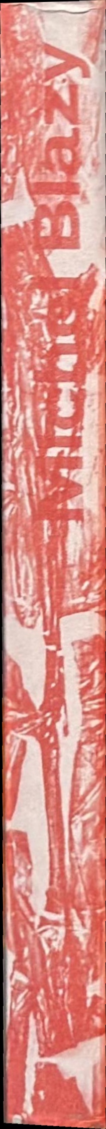 Michel Blazy spine
