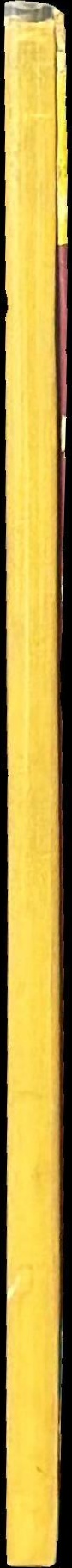 Champagne spine
