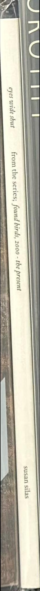 Eyes wide shut spine