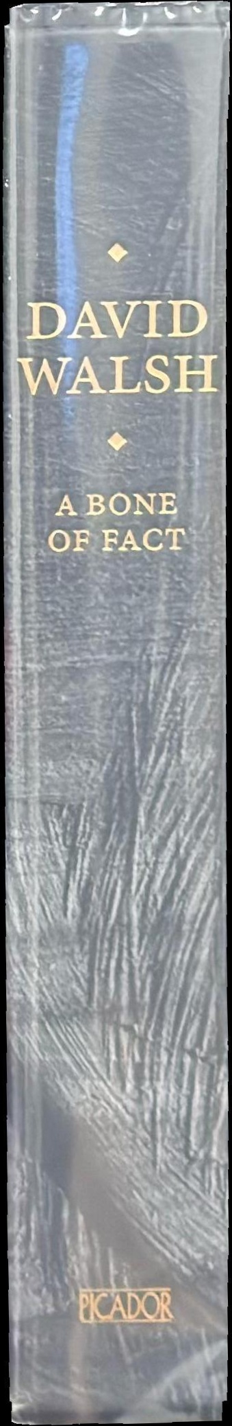 A bone of fact spine
