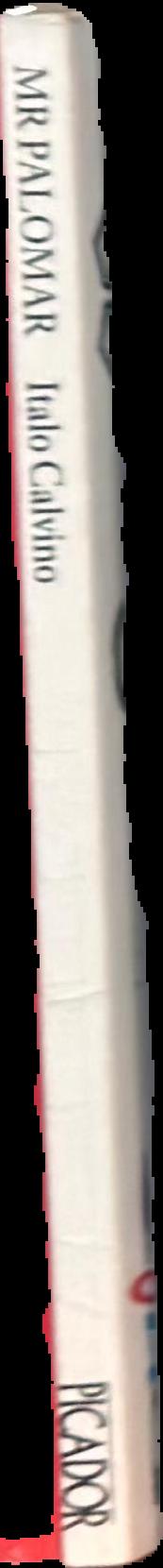 Mr Palomar spine