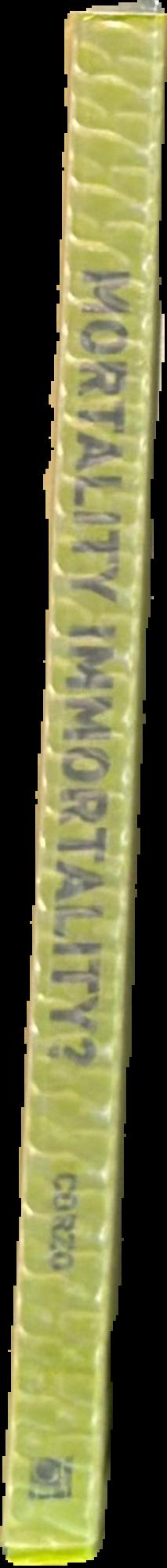Mortality immortality? : the legacy of 20th Century art spine