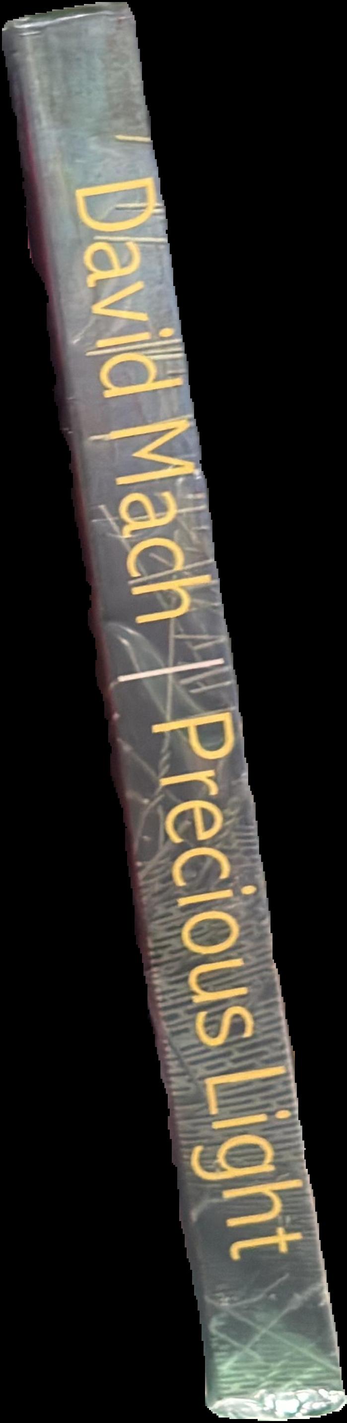 Precious light : King James bible, a celebration 1611-2011 spine