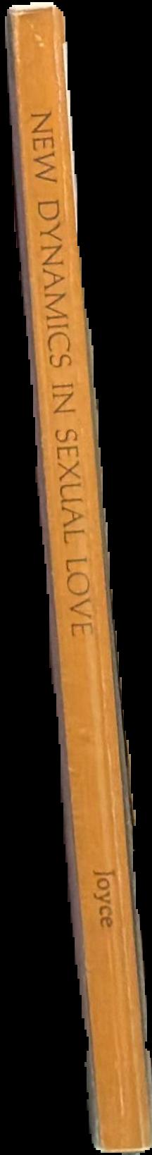 New dynamics in sexual love : a revolutionary approach to marriage and celibacy spine