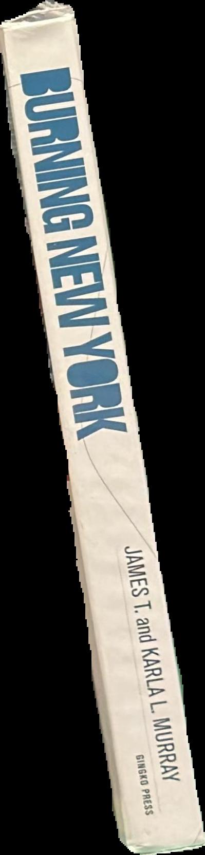 Burning New York spine