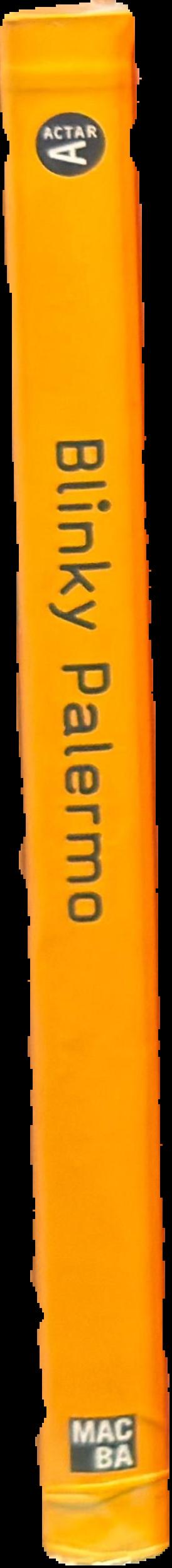 Blinky Palermo spine